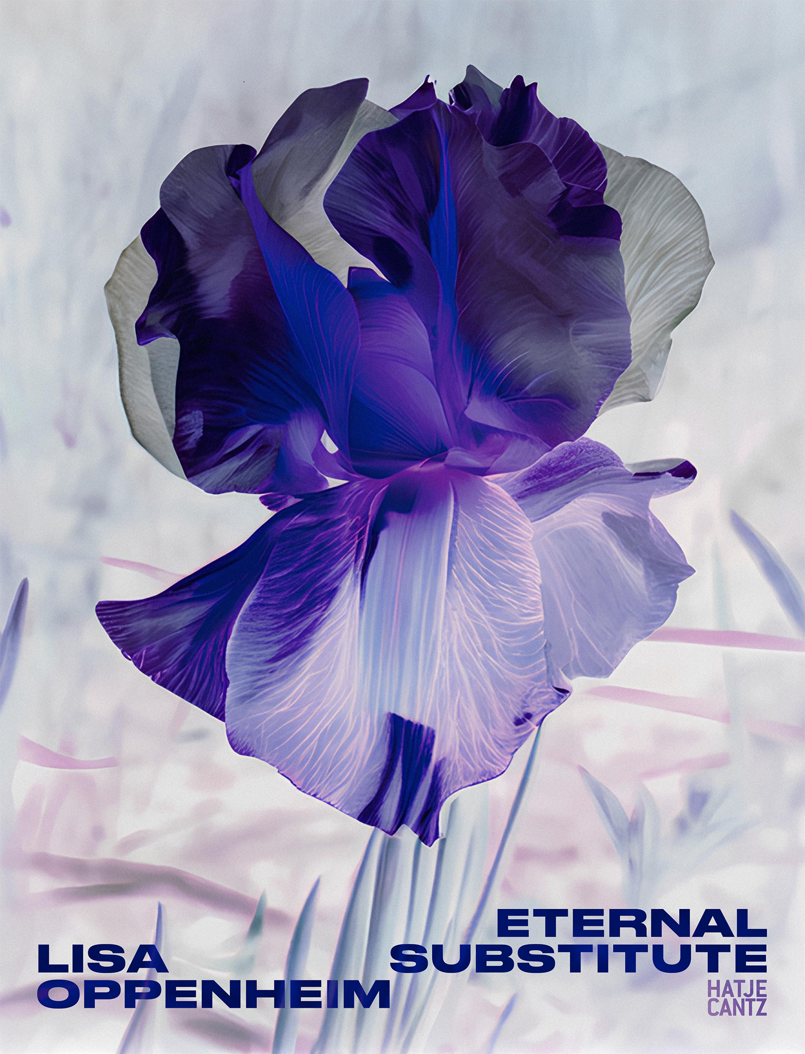 Lisa Oppenheim: The Eternal Substitute - Hatje Cantz