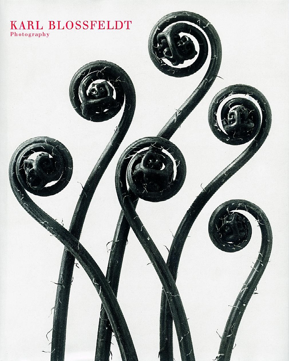 アート・デザイン・音楽 KARL BLOSSFELDT WORKING COLLAGES Karl Blossfeldt: Working Collages: Wilde, Ann, Wilde, Jurgen