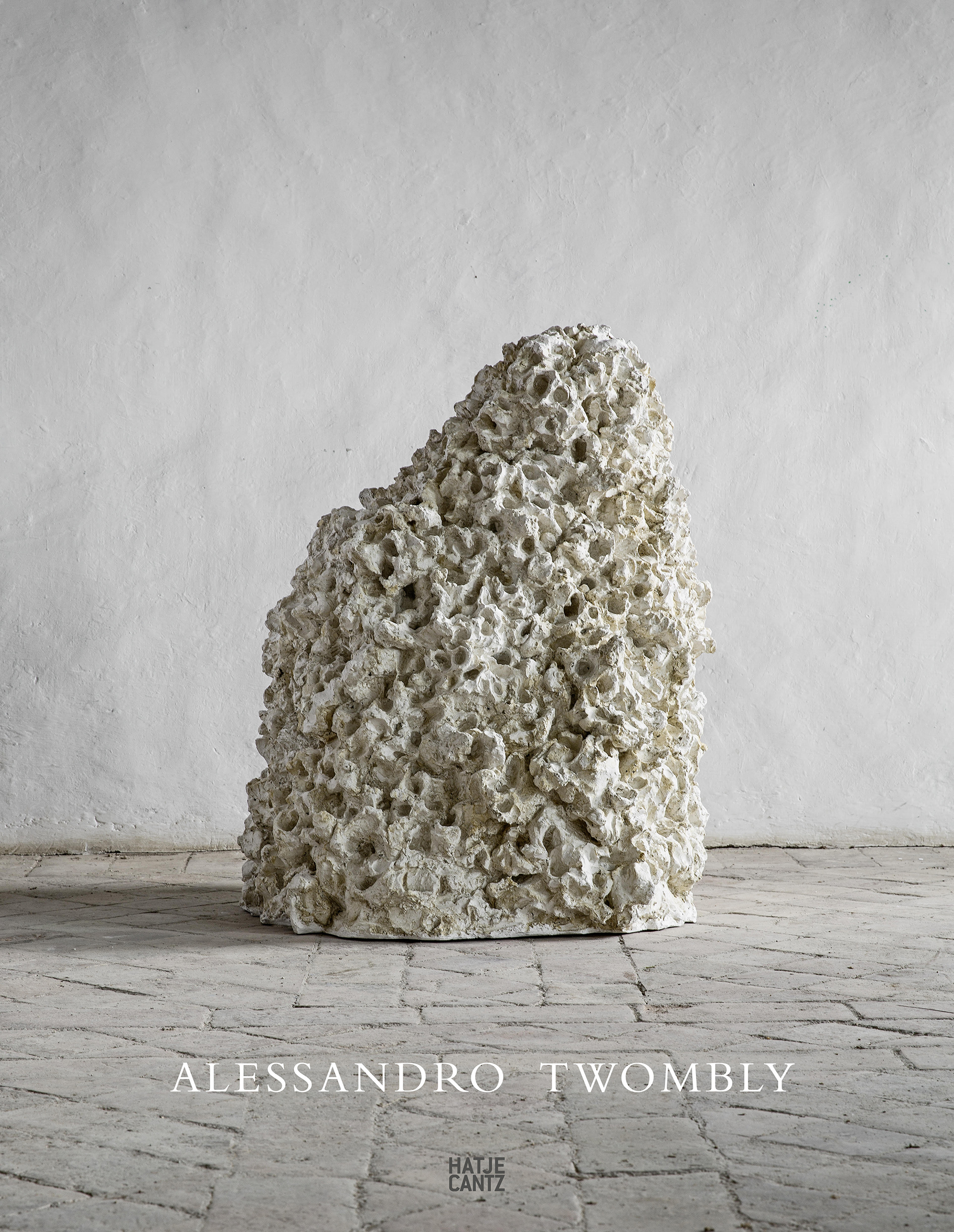 ALESSANDRO TWOMBLY アートブック Cy Twombly. 'Alessandro Twombly' 1965Art Blart _ art and