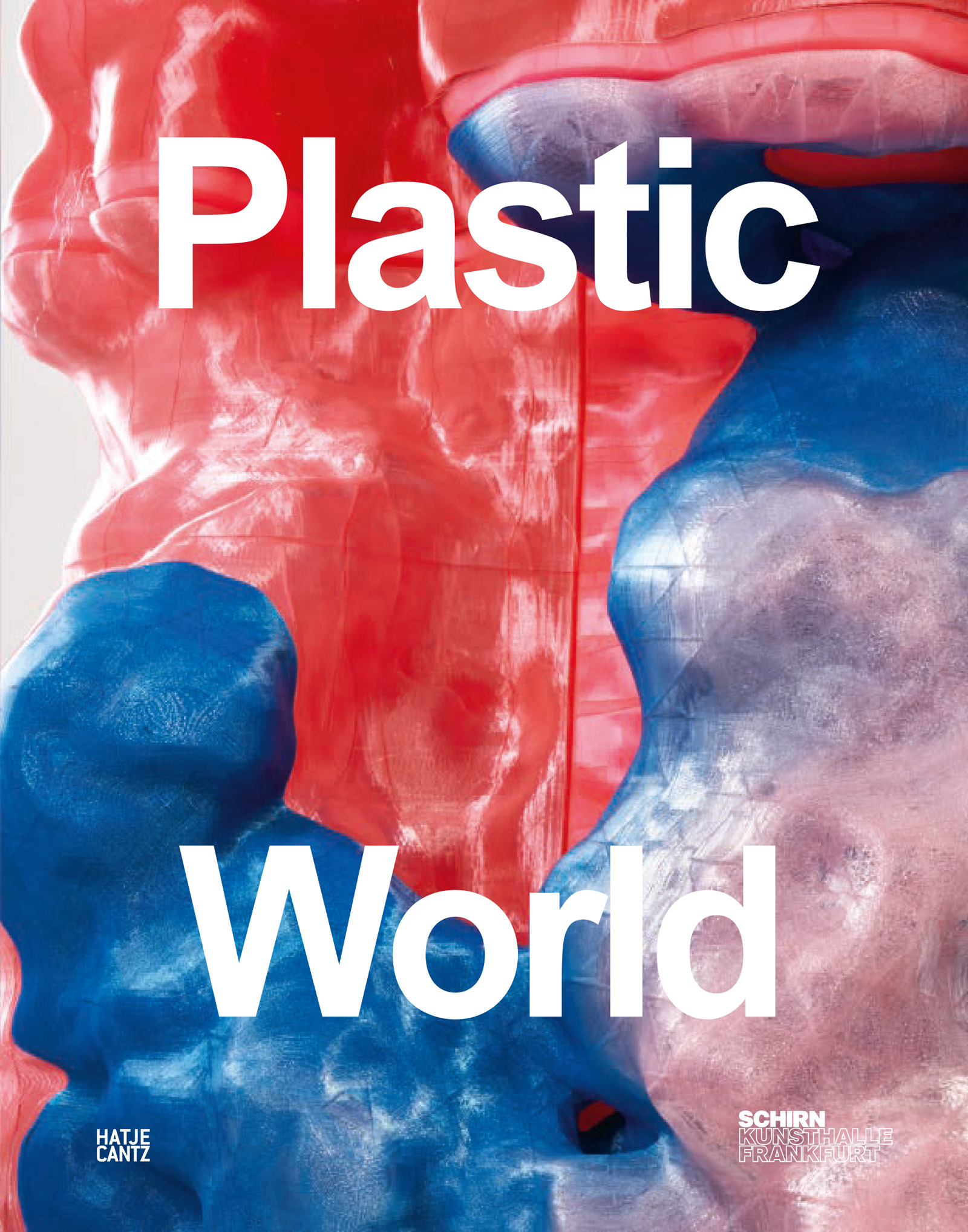 ART PLASTIC: DESIGNED FOR LIVING 洋書 Art Plastic: Designed for Living: Dinoto, Andrea: 9780896596962